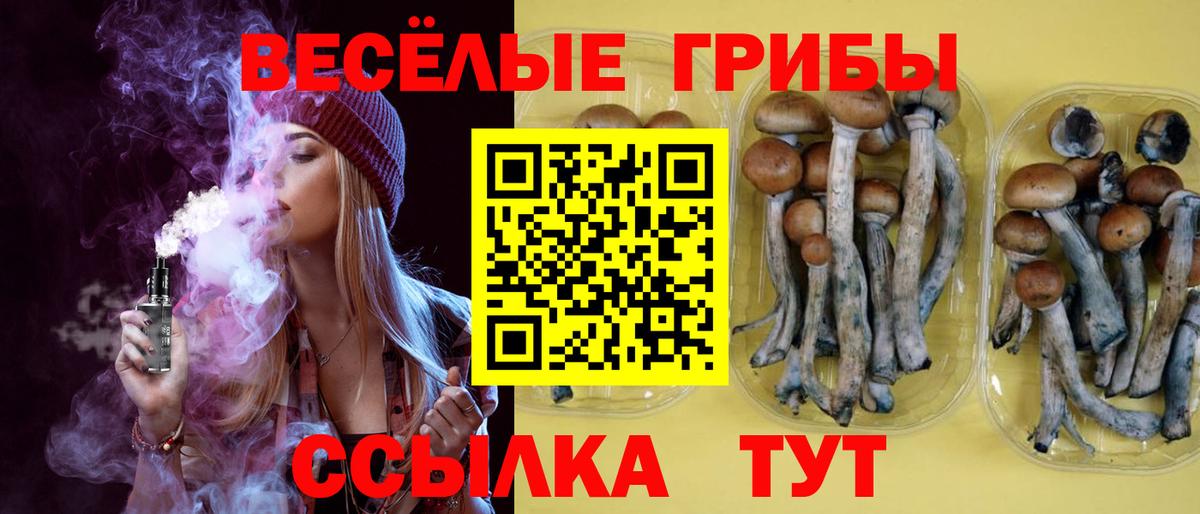 Галлюциногенные грибы Magic Shrooms  Вход с VPN  Белово 